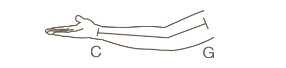 Measure the Length of Your Arm as Shown Here